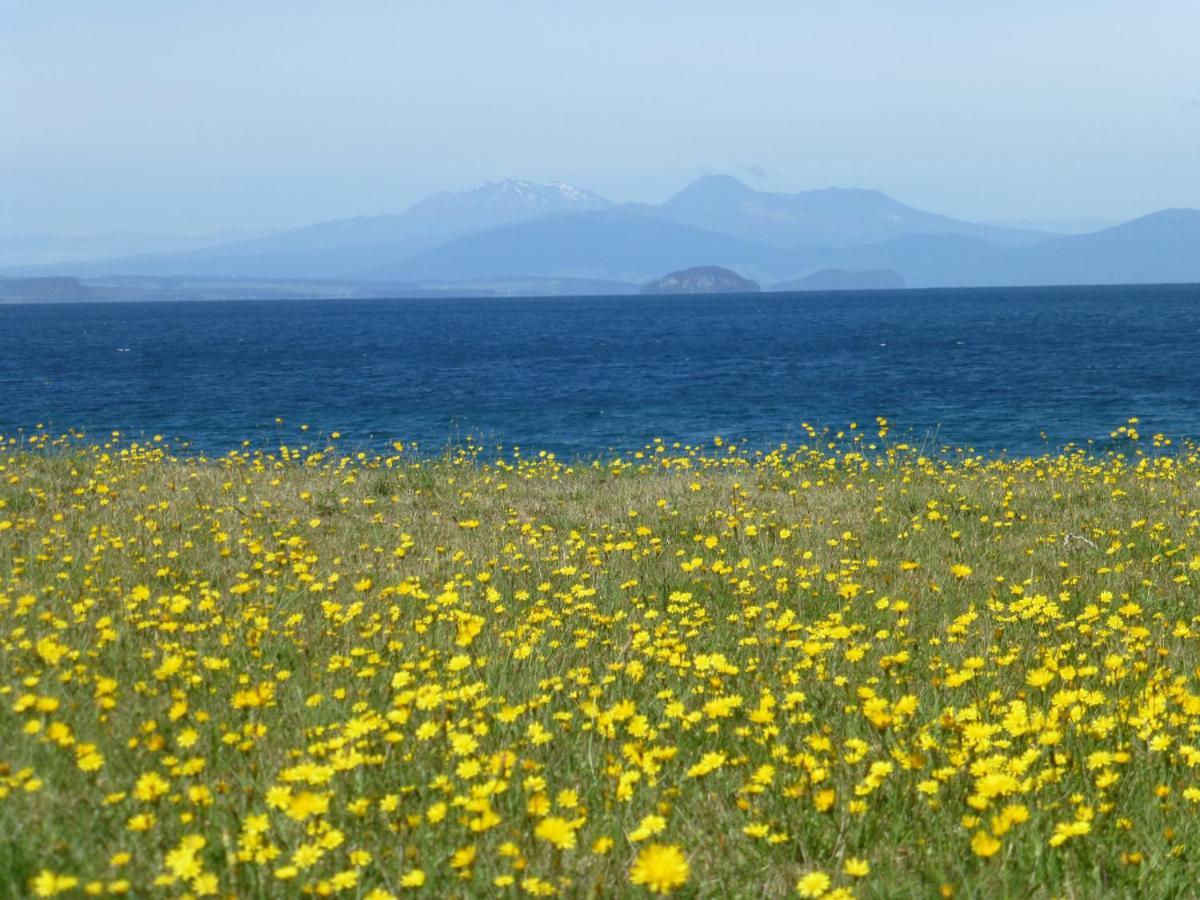 You Little Beauty - Wharewaka Beach Magic Taupo Exterior foto